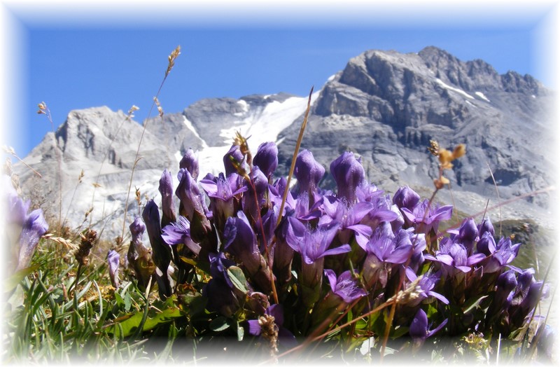 Pralognan-la-Vanoise