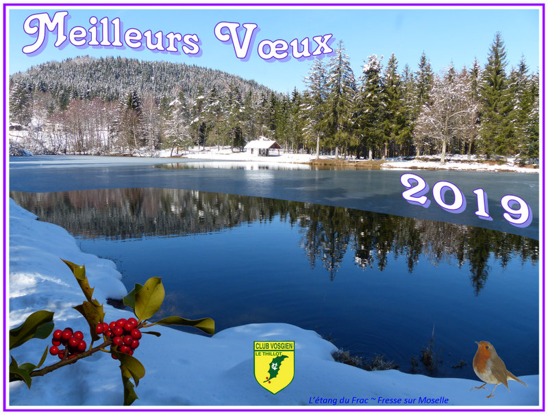 Voeux cv thillot 2019